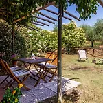 Birbina - Poggio Alle Birbe *
