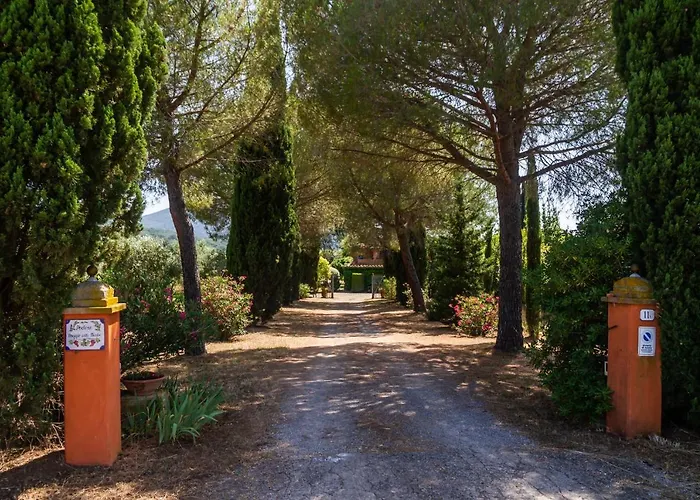 Birbina - Poggio Alle Birbe Casa vacanze *