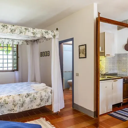 Holiday home Birbina - Poggio Alle Birbe *