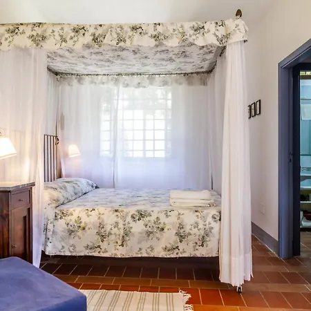 Holiday home Birbina - Poggio Alle Birbe *