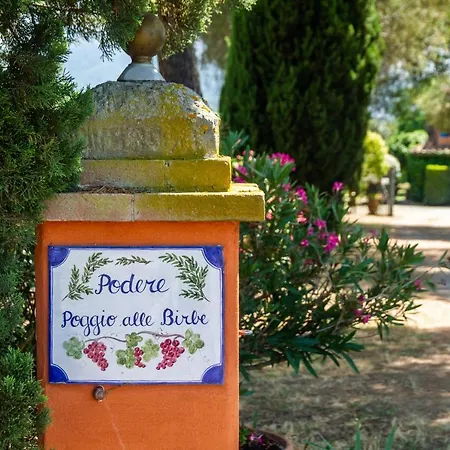 Holiday home Birbina - Poggio Alle Birbe *